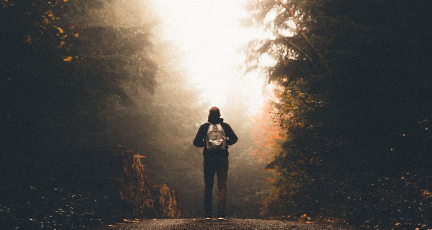 Free Photogrammetry Software For Windows In 2024