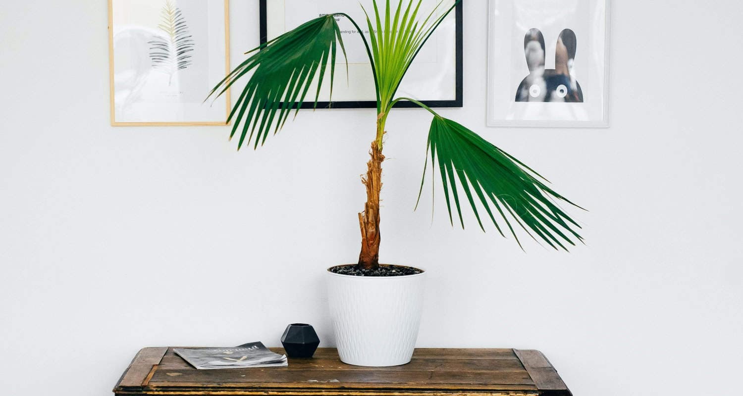 Affordable Home Decor Stores Like Pottery Barn [Detailed]