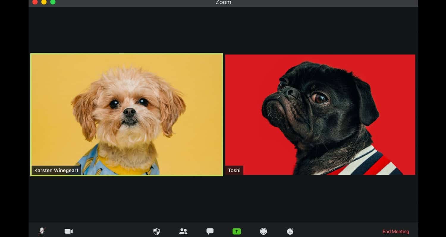 Know How To Cast Zoom On Roku TV | [6 Easy Ways ]