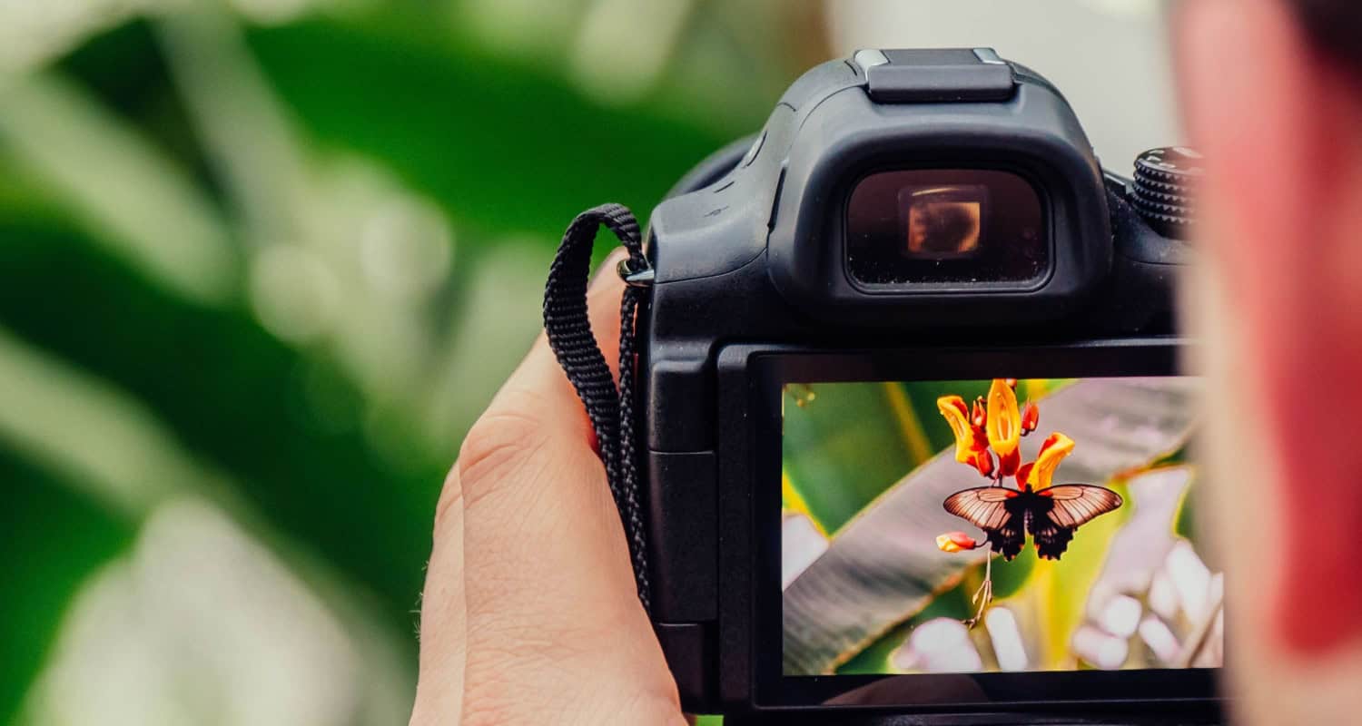 6 Best Duplicate Photo Finder Tools For Windows in 2024