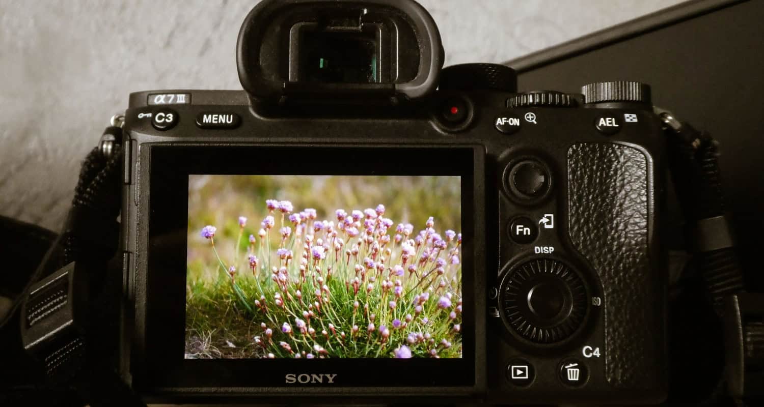 Best Photo Viewer for Windows 10/8/7/XP | Top 15 Apps for 2024