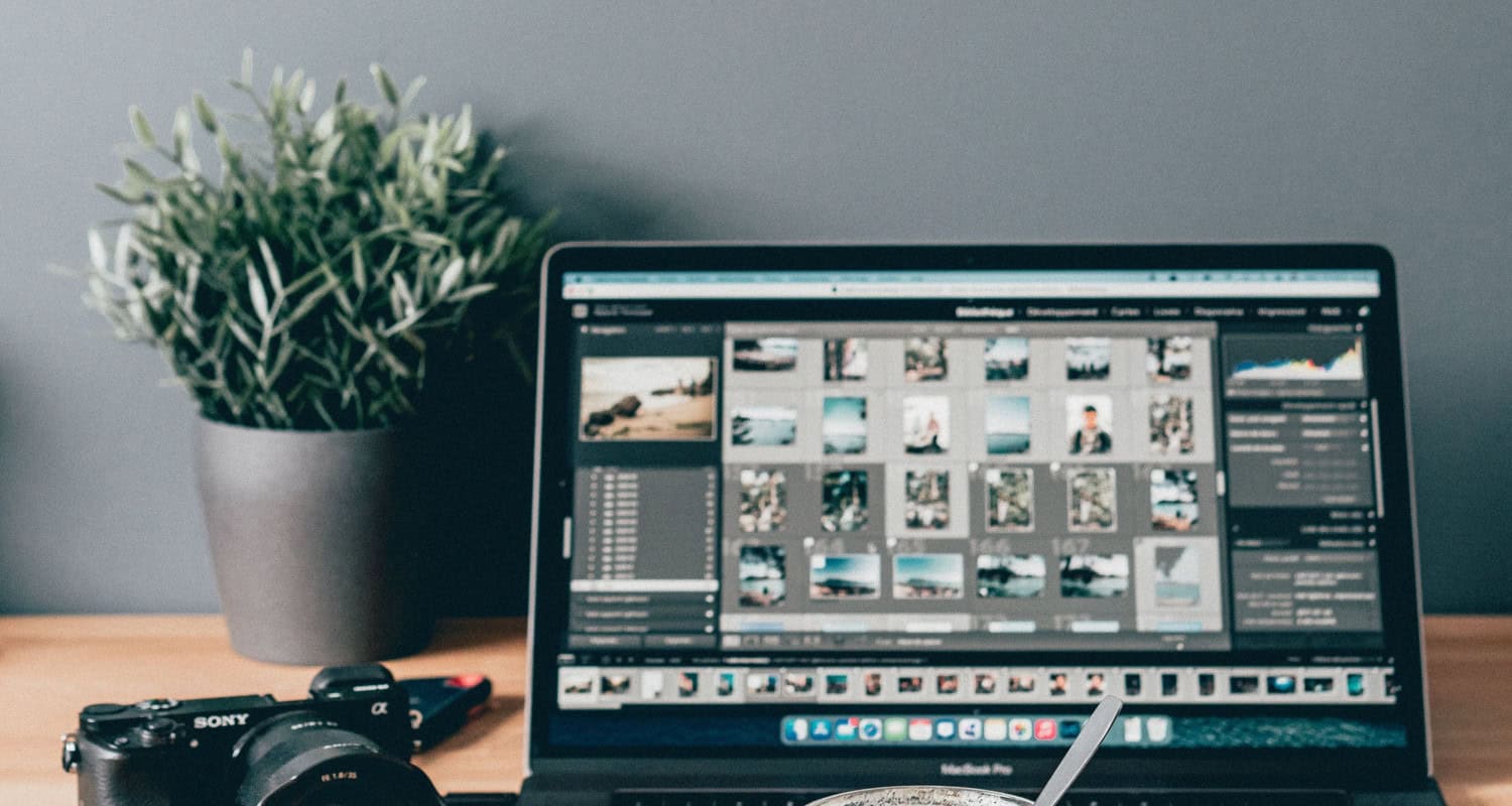 Picasa Replacement Apps You Should Use in 2024