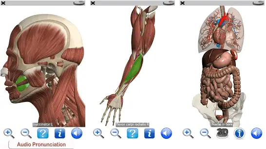 Anatomy Apps