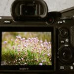 Best Photo Viewer for Windows 10/8/7/XP | Top 15 Apps for 2024