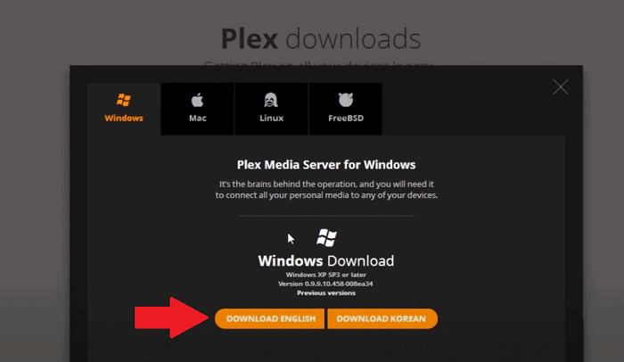 download and install plex server