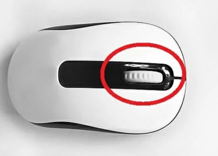 middle mouse button