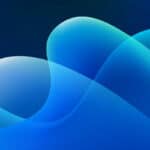 5 Dark Web Hacking Forums for Everyone [2024]