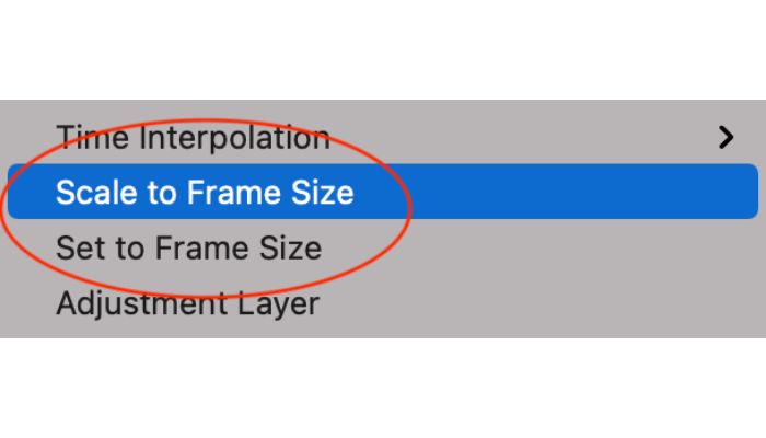 frame size