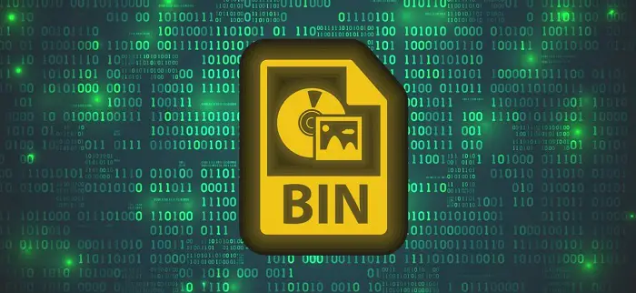 what are bin files