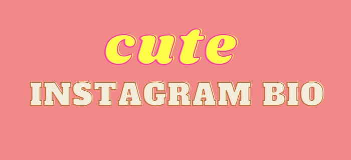 cute instagram bio