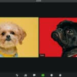 Know How To Cast Zoom On Roku TV | [6 Easy Ways ]