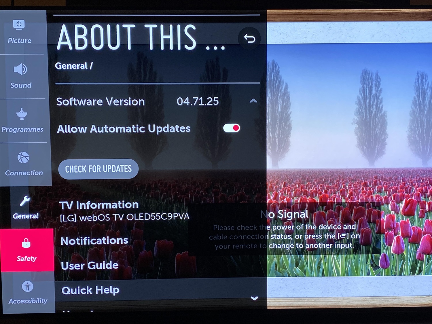 update software on lg tv