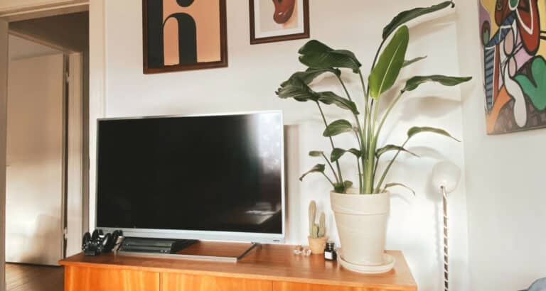 How Can I Tell What Version of Kodi I Have? (For All Devices)