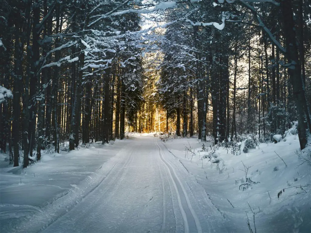 Nest Thermostats That Will Make Your Home Cozy and Efficient During Winter