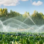 Smart Irrigation Systems That Will Keep Your Garden Thriving During Dry Spells
